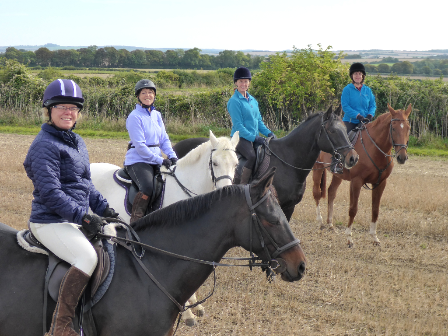 Life On The Yard Wiltshire